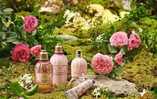 WhatsApp Image 2023-10-01 at 22.46.22_37e59fe1 L'Occitane