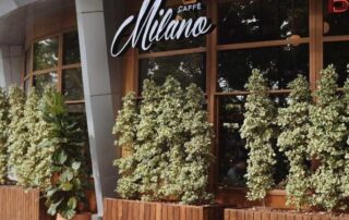 WhatsApp Image 2023-10-01 at 23.35.55_1e21a479 Caffe Milano