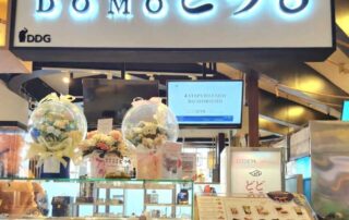 WhatsApp Image 2024-02-19 at 20.46.18 (1) Domo Domo