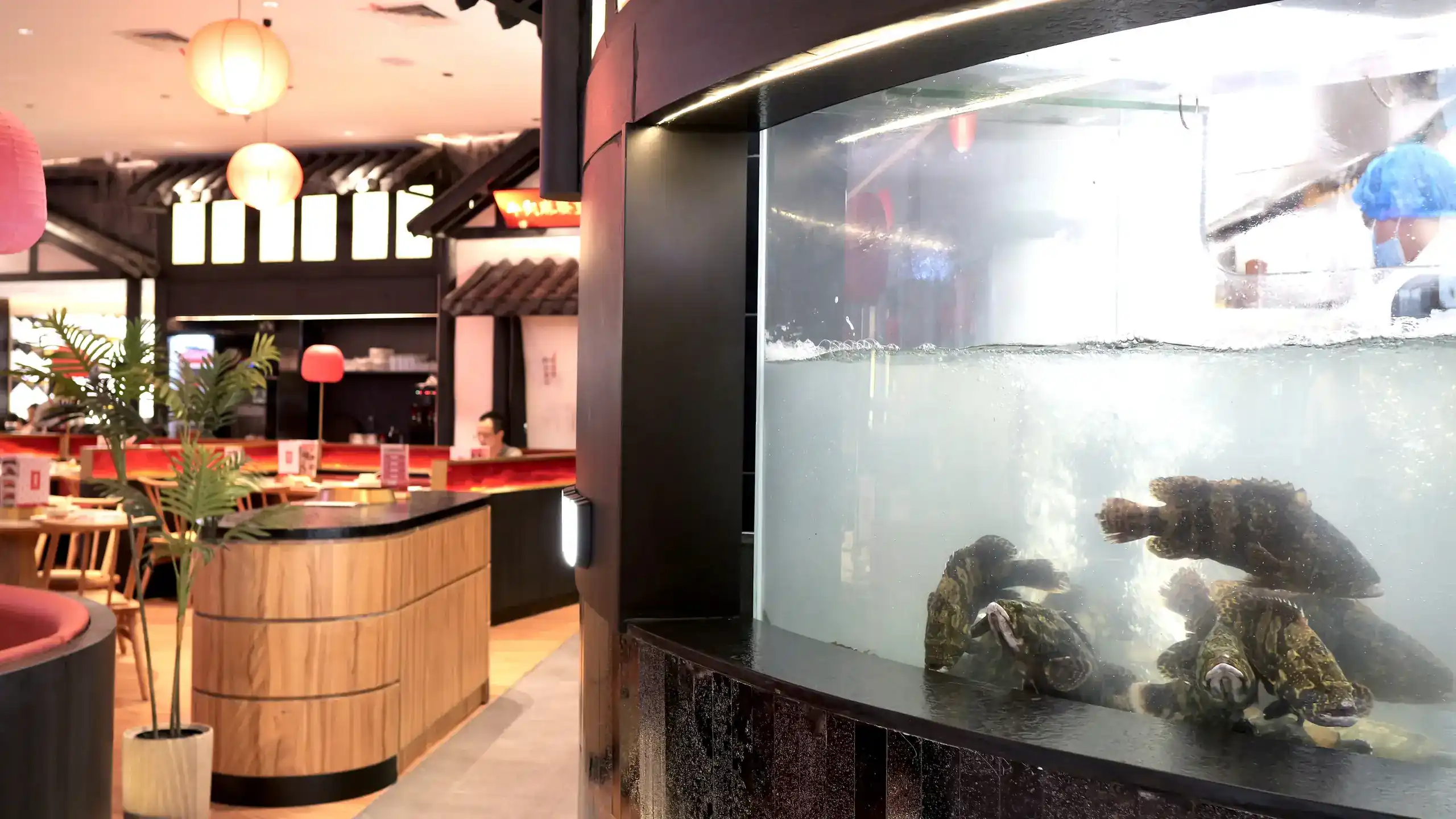 So Do Fun Pertama Resmi Dibuka, Hadirkan Pengalaman Kuliner Autentik