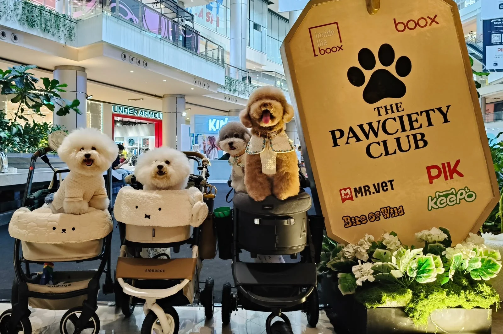 The Pawciety Club Calling All Dog Lovers!  &bull; PIK Avenue